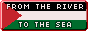 from the river to the sea on top of the palestine flag