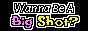 wanna be a big shot with big shot flashing pink and yellow
